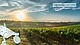 Bild: Robs4crops